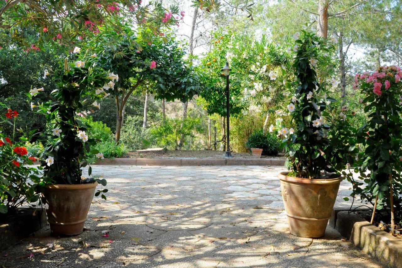 Agriresort Villa Bentivoglio 피아차암머리나 외부 사진